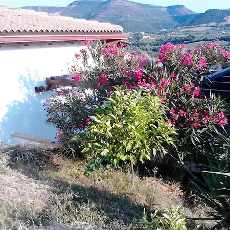 Guest house Valverde Di Naitana Rita 2*