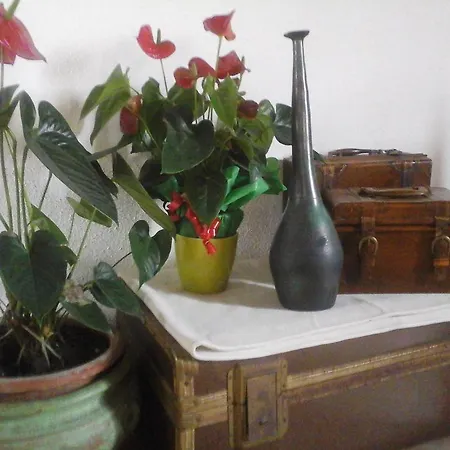 Guest house Valverde Di Naitana Rita